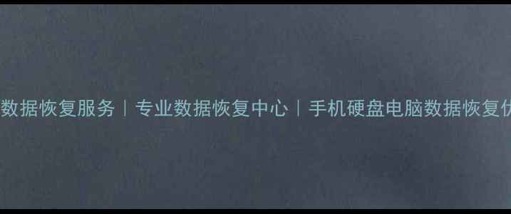 图片 极速正大数据恢复服务｜专业数据恢复中心｜手机硬盘电脑数据恢复优惠团购2