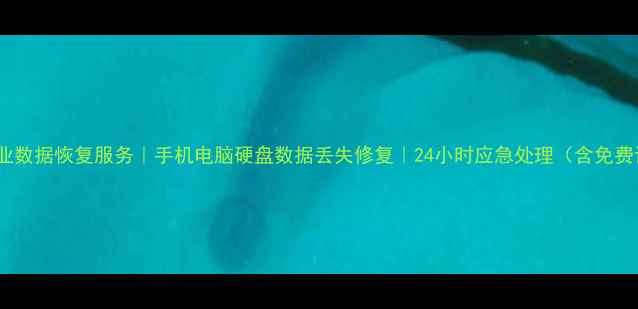 图片 武汉专业数据恢复服务｜手机电脑硬盘数据丢失修复｜24小时应急处理（含免费诊断）1