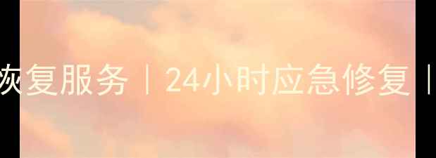 图片 河源专业电脑数据恢复服务｜24小时应急修复｜手机硬盘恢复专家