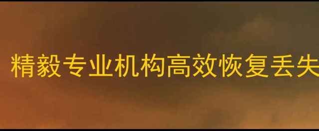 图片 深圳硬盘数据恢复服务多少钱？精毅专业机构高效恢复丢失文件，深圳本地数据救援专家1