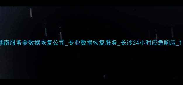 图片 湖南服务器数据恢复公司_专业数据恢复服务_长沙24小时应急响应_11
