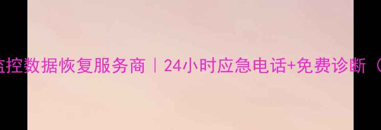 图片 漯河本地监控数据恢复服务商｜24小时应急电话+免费诊断（附案例）1