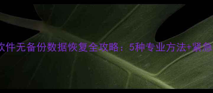 图片 用友财务软件无备份数据恢复全攻略：5种专业方法+紧急操作指南2