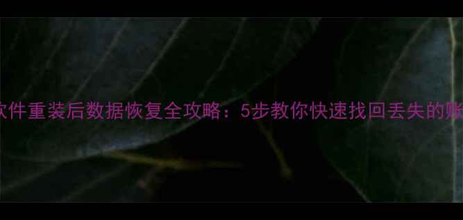 图片 用友财务软件重装后数据恢复全攻略：5步教你快速找回丢失的账套和凭证1