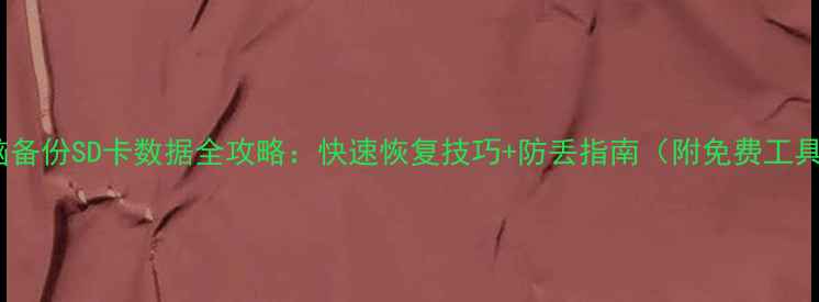 图片 电脑备份SD卡数据全攻略：快速恢复技巧+防丢指南（附免费工具）2