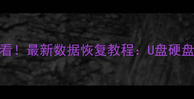 图片 电脑手机文件丢失必看！最新数据恢复教程：U盘硬盘手机照片恢复全指南