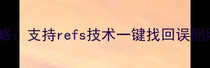 图片 电脑手机文件恢复全攻略：支持refs技术一键找回误删照片、文档、聊天记录1