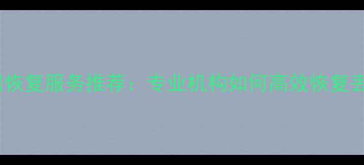 图片 电脑数据恢复服务推荐：专业机构如何高效恢复丢失文件2