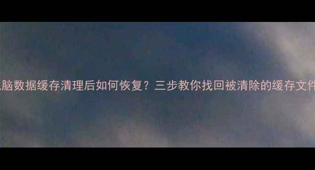 图片 电脑数据缓存清理后如何恢复？三步教你找回被清除的缓存文件2