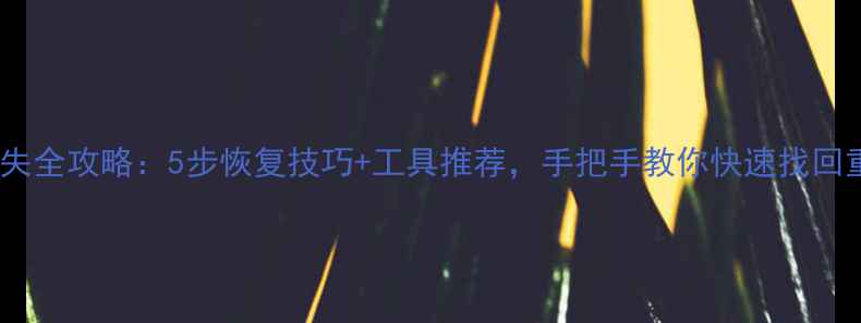 图片 电脑文件丢失全攻略：5步恢复技巧+工具推荐，手把手教你快速找回重要数据！2
