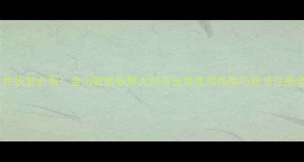 图片 电脑文件恢复必看！金山数据恢复大师专业版使用指南与账号注册全攻略1