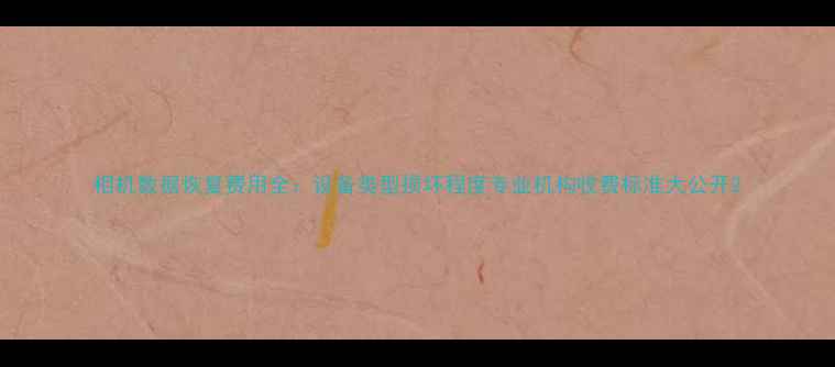 图片 相机数据恢复费用全：设备类型损坏程度专业机构收费标准大公开2