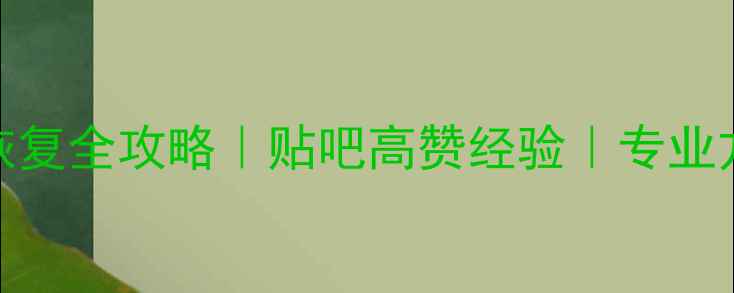 图片 硬盘坏道数据恢复全攻略｜贴吧高赞经验｜专业方法+避坑指南2