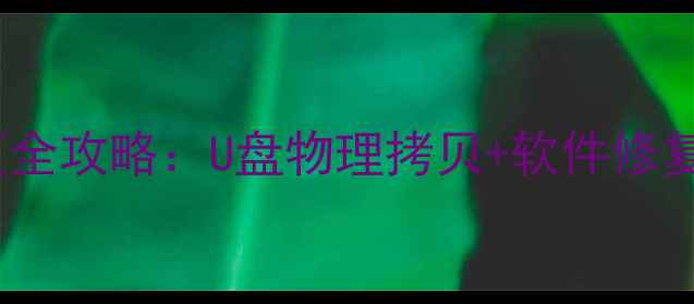 图片 硬盘数据恢复全攻略：U盘物理拷贝+软件修复双方案教程1