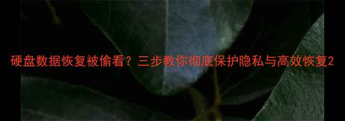 图片 硬盘数据恢复被偷看？三步教你彻底保护隐私与高效恢复2