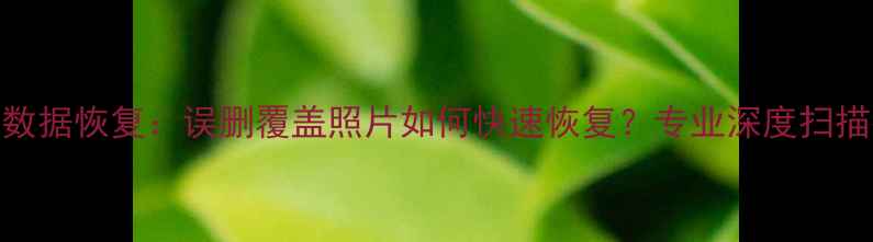 图片 硬盘数据恢复：误删覆盖照片如何快速恢复？专业深度扫描技术