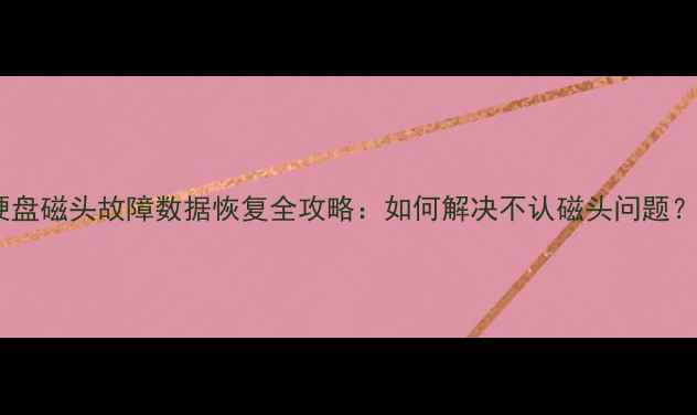 图片 硬盘磁头故障数据恢复全攻略：如何解决不认磁头问题？1