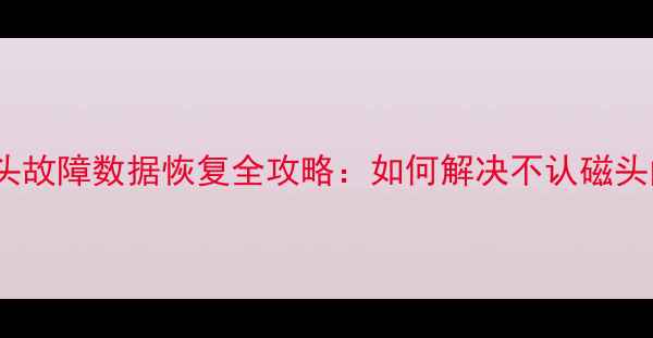 图片 硬盘磁头故障数据恢复全攻略：如何解决不认磁头问题？2