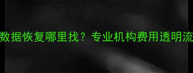 图片 移动硬盘数据恢复哪里找？专业机构费用透明流程规范全