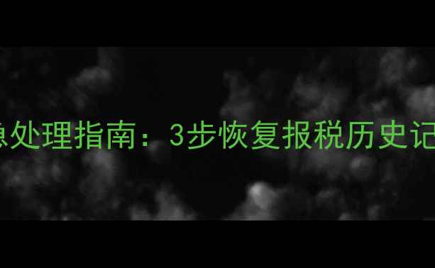 图片 税务数据丢失的紧急处理指南：3步恢复报税历史记录及专业工具推荐1