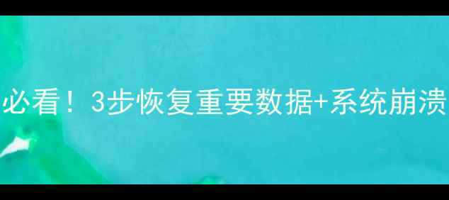 图片 笔记本U盘文件损坏必看！3步恢复重要数据+系统崩溃分区丢失救星指南2