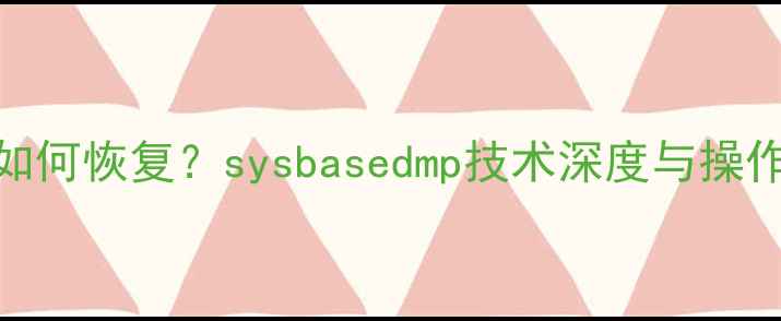图片 系统崩溃误删除数据如何恢复？sysbasedmp技术深度与操作指南（附详细步骤）