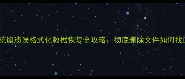 图片 系统崩溃误格式化数据恢复全攻略：彻底删除文件如何找回2