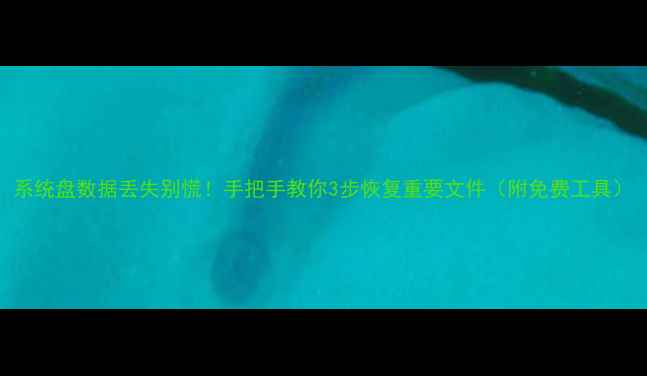 图片 系统盘数据丢失别慌！手把手教你3步恢复重要文件（附免费工具）