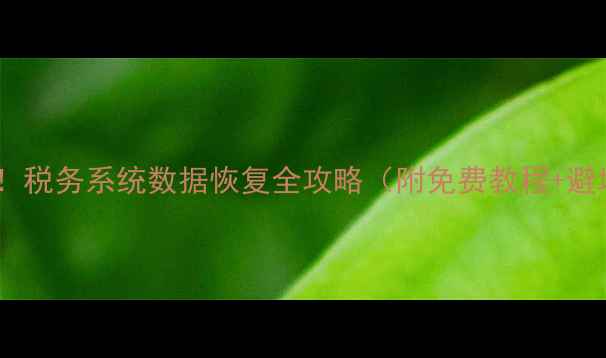 图片 紧急通知！税务系统数据恢复全攻略（附免费教程+避坑指南）2