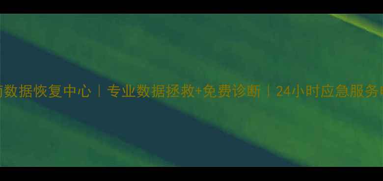图片 苍南数据恢复中心｜专业数据拯救+免费诊断｜24小时应急服务电话