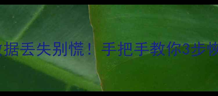 图片 苹果13刷机后数据丢失别慌！手把手教你3步恢复重要文件🔥2