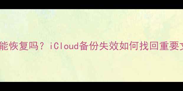 图片 苹果手机删除数据后能恢复吗？iCloud备份失效如何找回重要文件（附详细教程）1