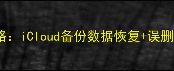 图片 苹果手机数据恢复全攻略：iCloud备份数据恢复+误删照片聊天记录恢复方法2