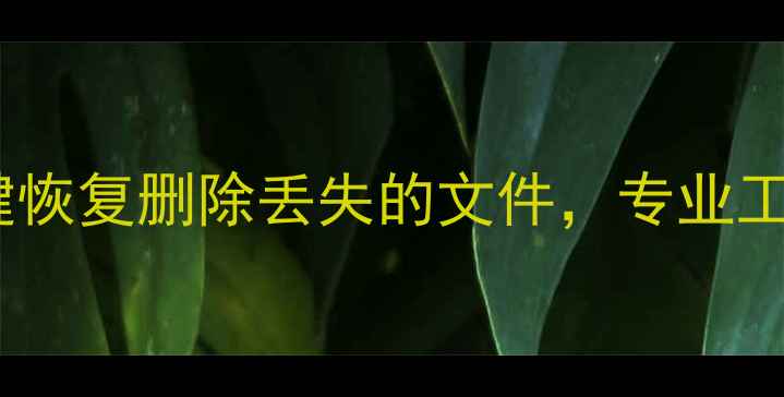 图片 苹果手机数据恢复全攻略：一键恢复删除丢失的文件，专业工具操作指南（附免费版下载）1