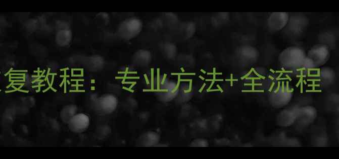 图片 苹果格式U盘数据恢复教程：专业方法+全流程（附免费工具推荐）