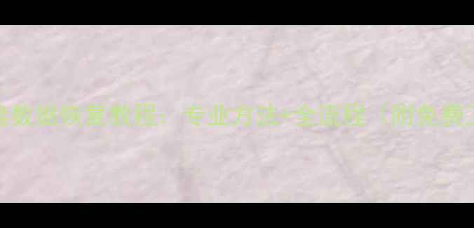 图片 苹果格式U盘数据恢复教程：专业方法+全流程（附免费工具推荐）2