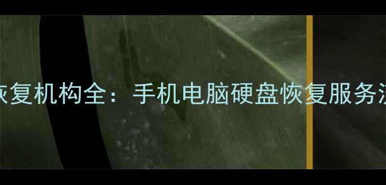 图片 莆田专业数据恢复机构全：手机电脑硬盘恢复服务流程与避坑指南