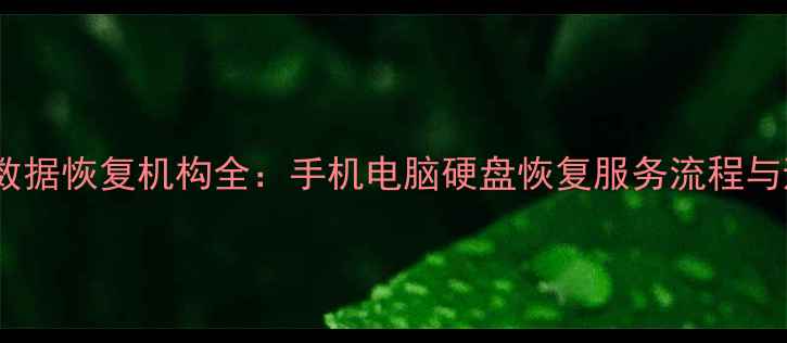 图片 莆田专业数据恢复机构全：手机电脑硬盘恢复服务流程与避坑指南1