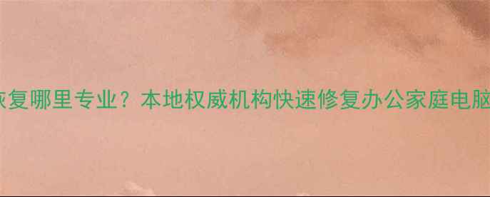 图片 菏泽电脑数据恢复哪里专业？本地权威机构快速修复办公家庭电脑文件丢失问题1