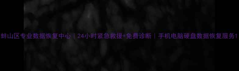 图片 蚌山区专业数据恢复中心｜24小时紧急救援+免费诊断｜手机电脑硬盘数据恢复服务1