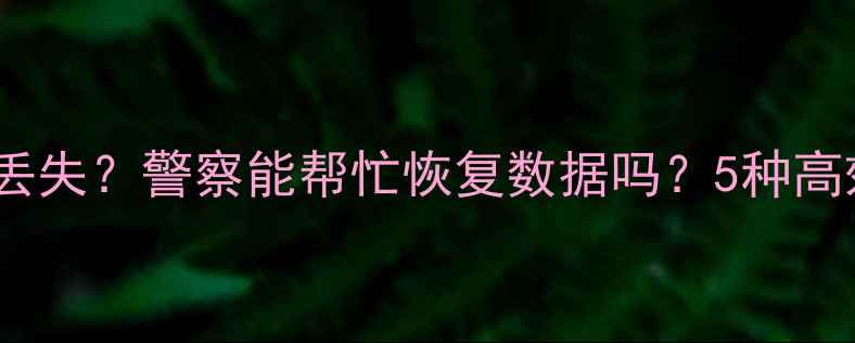 图片 被骗后电脑数据丢失？警察能帮忙恢复数据吗？5种高效数据恢复方法2