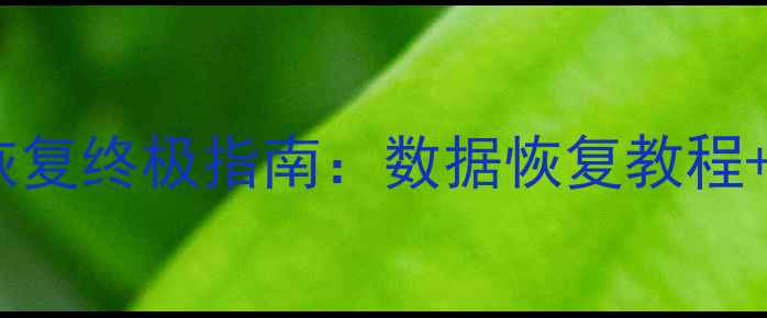 图片 计算机维修与数据恢复终极指南：数据恢复教程+计算机维修技巧全1