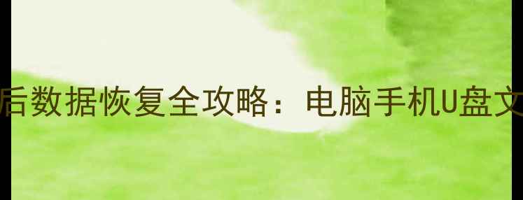 图片 误删除误格式化误覆盖后数据恢复全攻略：电脑手机U盘文件找回技巧与工具推荐
