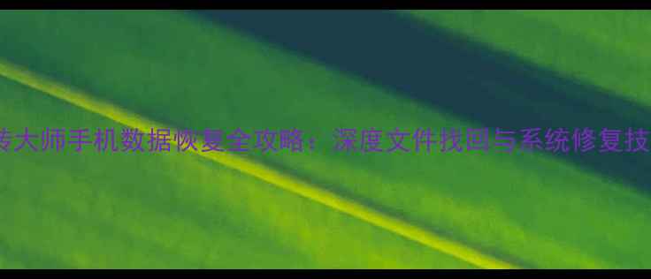 图片 转转大师手机数据恢复全攻略：深度文件找回与系统修复技巧2