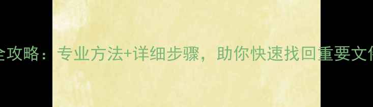 图片 速达SDQ数据恢复全攻略：专业方法+详细步骤，助你快速找回重要文件（附操作指南）2