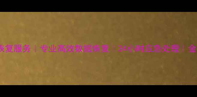 图片 金安区硬盘数据恢复服务｜专业高效数据恢复｜24小时应急处理｜金安数据恢复专家1