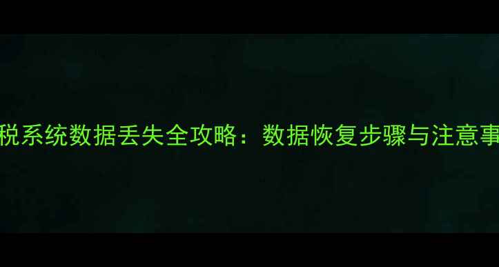 图片 金税系统数据丢失全攻略：数据恢复步骤与注意事项