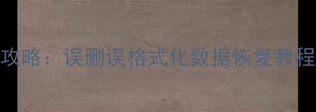 图片 雷诺电脑文件丢失全攻略：误删误格式化数据恢复教程（附免费工具推荐）