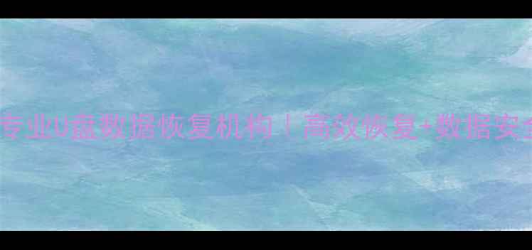 图片 青浦区专业U盘数据恢复机构｜高效恢复+数据安全保障1