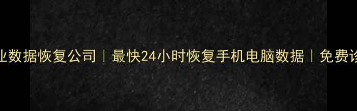 图片 龙州专业数据恢复公司｜最快24小时恢复手机电脑数据｜免费诊断服务